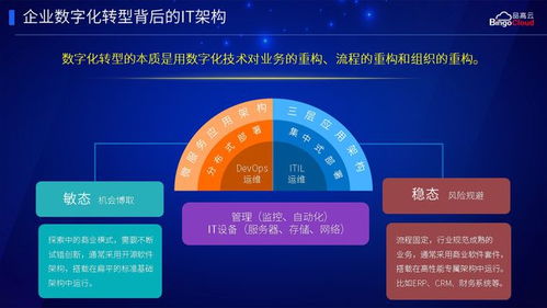 品高云龍驥 為企業(yè)數(shù)字化轉型打造堅實的信息化架構基石