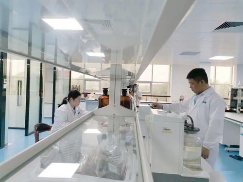 立興食品 打造國家級檢測中心，鍛造品質生命線——西安連城檢測技術揭牌紀實